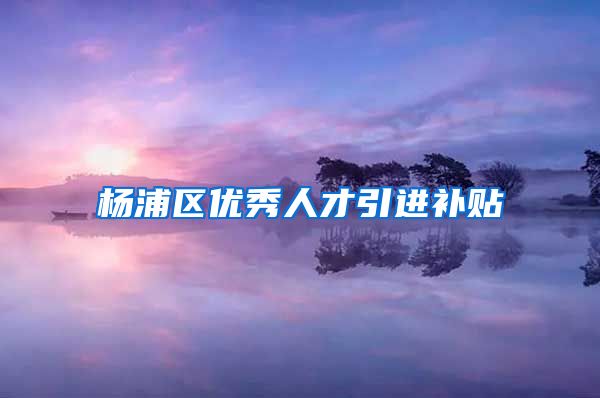 杨浦区优秀人才引进补贴