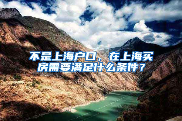 不是上海户口，在上海买房需要满足什么条件？