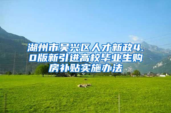 湖州市吴兴区人才新政4.0版新引进高校毕业生购房补贴实施办法