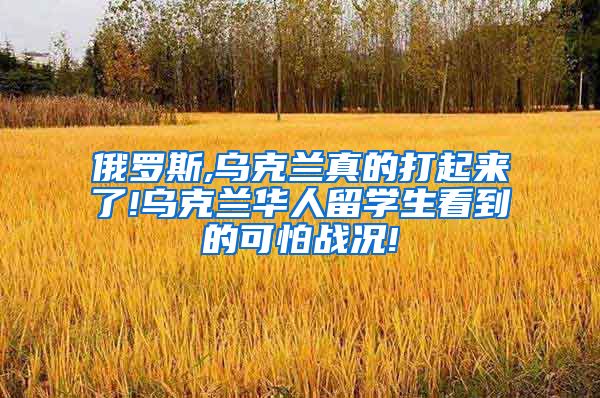 俄罗斯,乌克兰真的打起来了!乌克兰华人留学生看到的可怕战况!