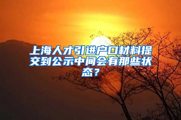 上海人才引进户口材料提交到公示中间会有那些状态？