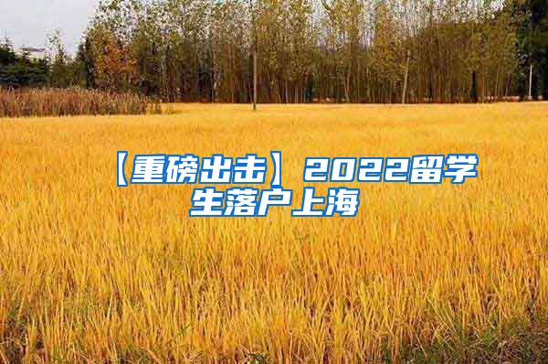 【重磅出击】2022留学生落户上海