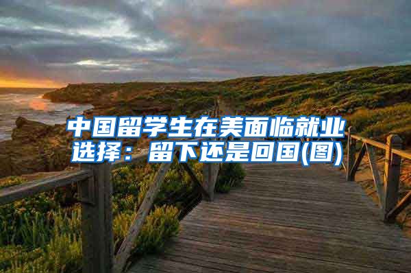 中国留学生在美面临就业选择：留下还是回国(图)