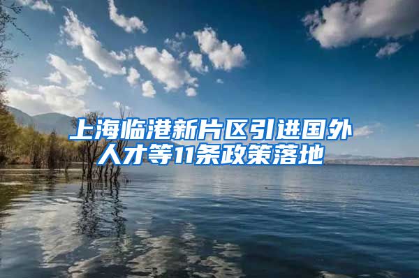 上海临港新片区引进国外人才等11条政策落地