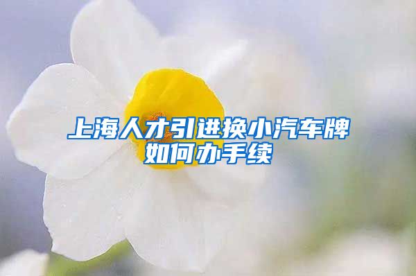上海人才引进换小汽车牌如何办手续