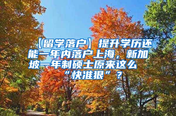 【留学落户】提升学历还能一年内落户上海，新加坡一年制硕士原来这么“快准狠”？