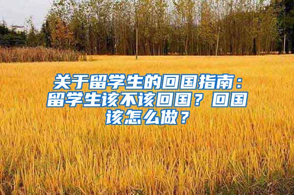 关于留学生的回国指南：留学生该不该回国？回国该怎么做？