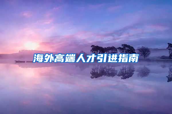 海外高端人才引进指南