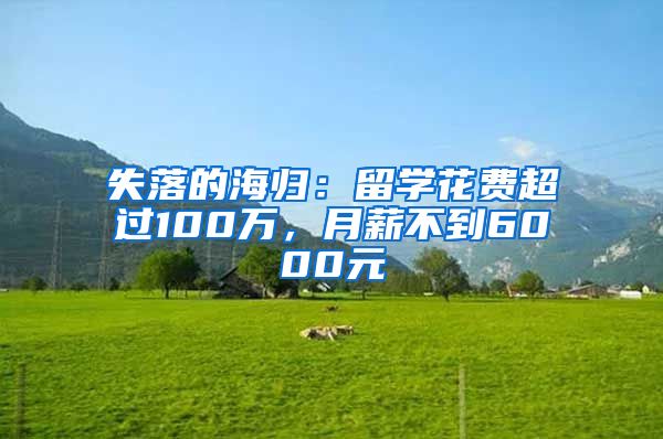 失落的海归：留学花费超过100万，月薪不到6000元