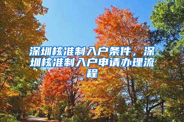 深圳核准制入户条件，深圳核准制入户申请办理流程