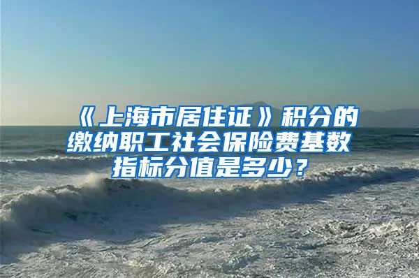 《上海市居住证》积分的缴纳职工社会保险费基数指标分值是多少？