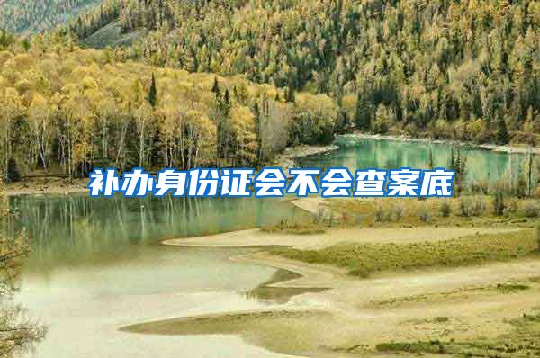 补办身份证会不会查案底