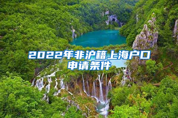 2022年非沪籍上海户口申请条件
