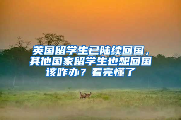 英国留学生已陆续回国，其他国家留学生也想回国该咋办？看完懂了