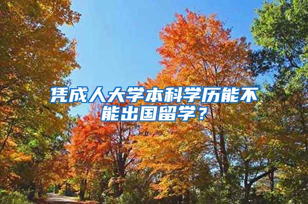 凭成人大学本科学历能不能出国留学？