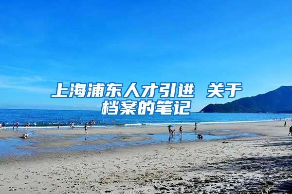 上海浦东人才引进 关于档案的笔记
