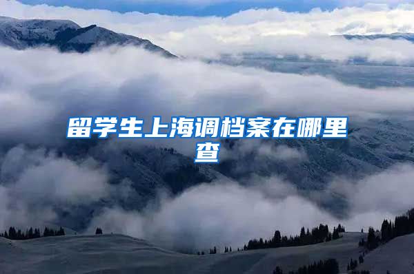 留学生上海调档案在哪里查
