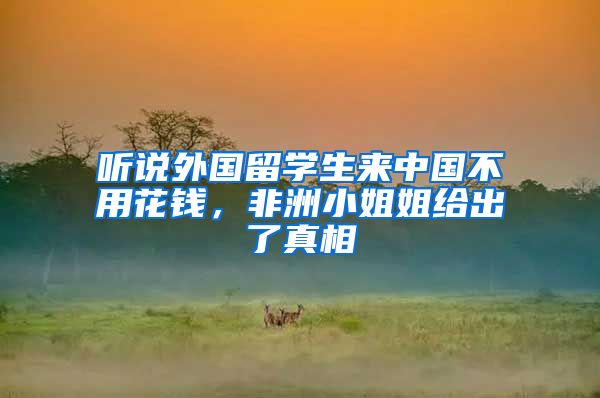 听说外国留学生来中国不用花钱，非洲小姐姐给出了真相