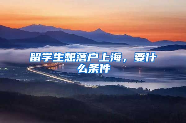 留学生想落户上海，要什么条件