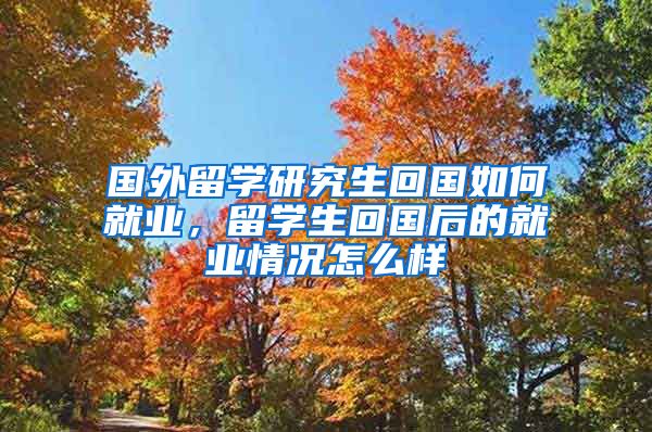 国外留学研究生回国如何就业，留学生回国后的就业情况怎么样
