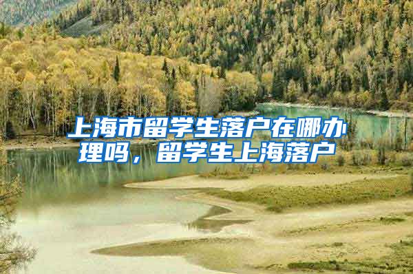 上海市留学生落户在哪办理吗，留学生上海落户