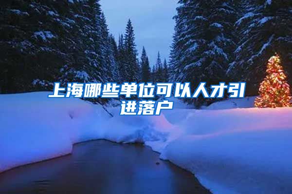 上海哪些单位可以人才引进落户