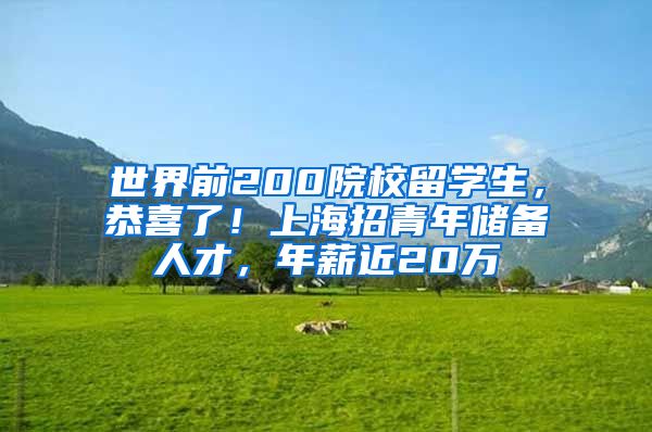 世界前200院校留学生，恭喜了！上海招青年储备人才，年薪近20万