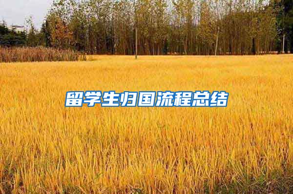 留学生归国流程总结