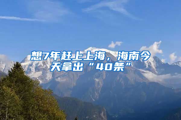 想7年赶上上海，海南今天拿出“40条”