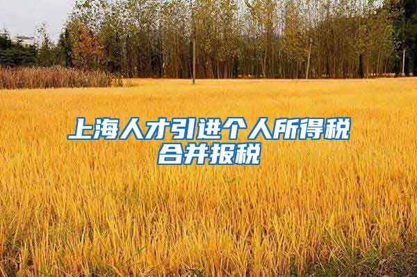 上海人才引进个人所得税合并报税