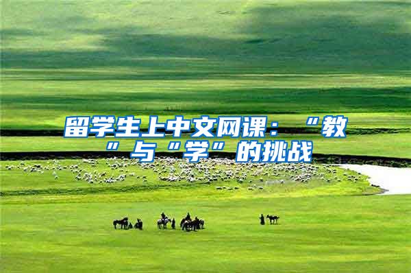 留学生上中文网课：“教”与“学”的挑战