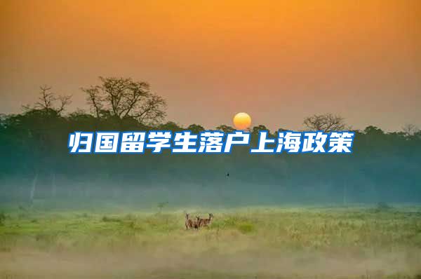 归国留学生落户上海政策