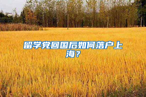 留学党回国后如何落户上海？
