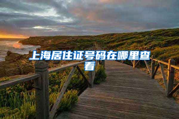 上海居住证号码在哪里查看