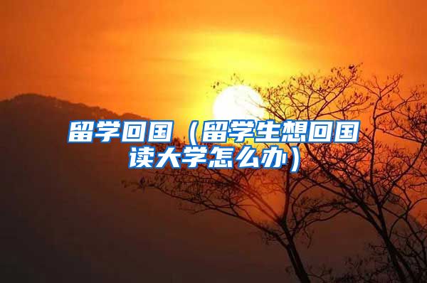 留学回国（留学生想回国读大学怎么办）