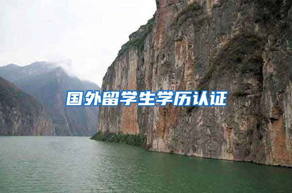 国外留学生学历认证