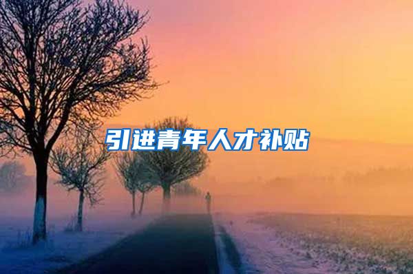 引进青年人才补贴