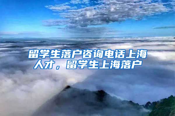 留学生落户咨询电话上海人才，留学生上海落户