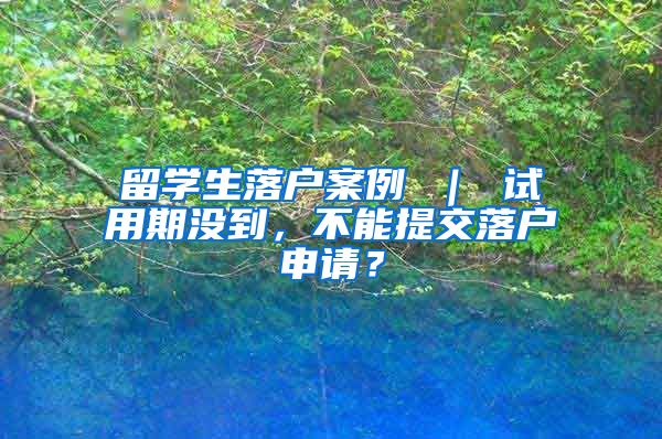 留学生落户案例 ｜ 试用期没到，不能提交落户申请？