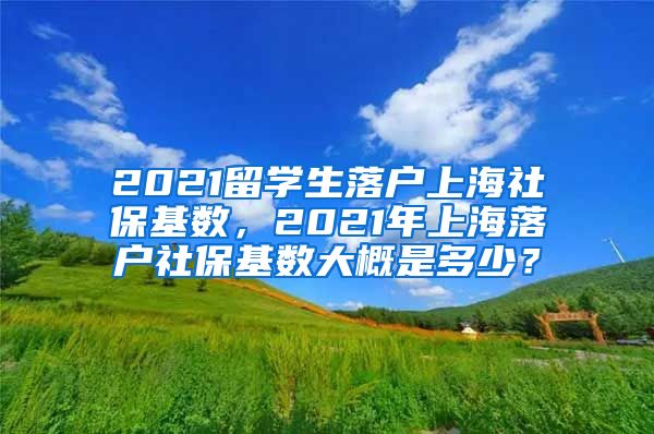 2021留学生落户上海社保基数，2021年上海落户社保基数大概是多少？