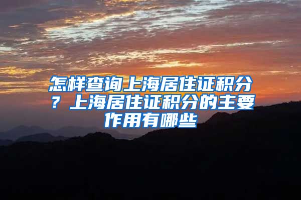 怎样查询上海居住证积分？上海居住证积分的主要作用有哪些