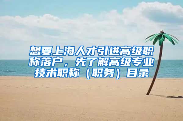 想要上海人才引进高级职称落户，先了解高级专业技术职称（职务）目录