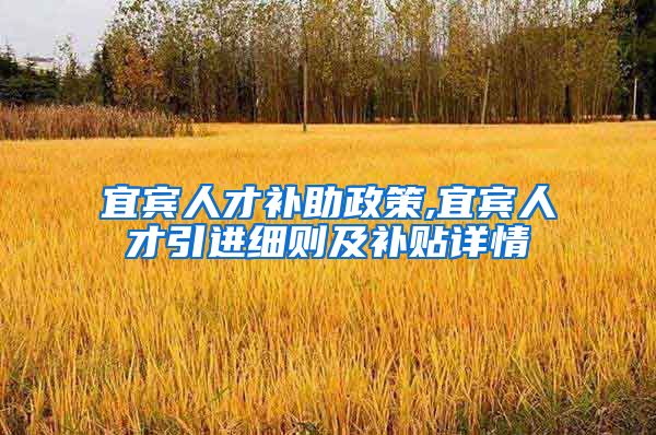宜宾人才补助政策,宜宾人才引进细则及补贴详情