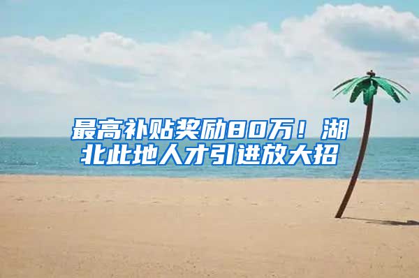 最高补贴奖励80万！湖北此地人才引进放大招