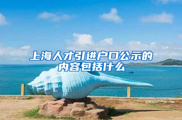 上海人才引进户口公示的内容包括什么