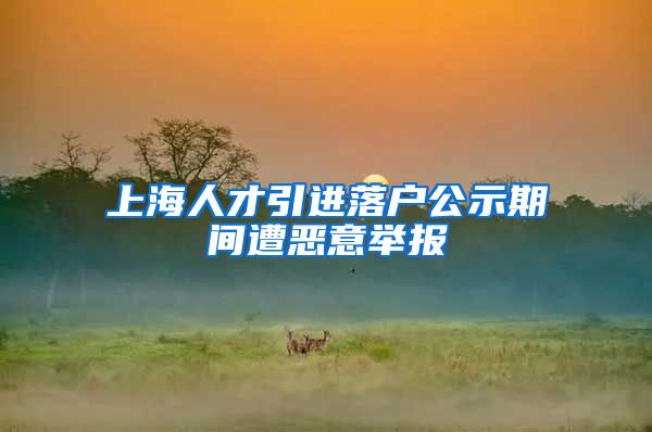上海人才引进落户公示期间遭恶意举报