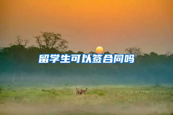 留学生可以签合同吗