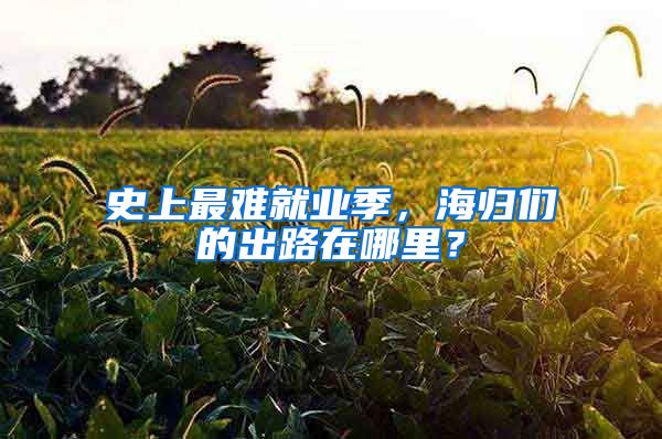 史上最难就业季，海归们的出路在哪里？