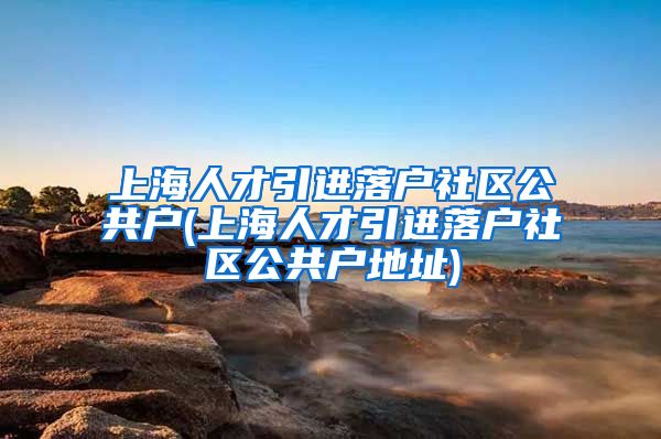 上海人才引进落户社区公共户(上海人才引进落户社区公共户地址)