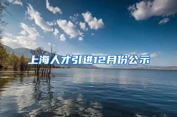 上海人才引进12月份公示